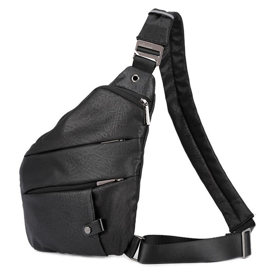 Traveler's Bag